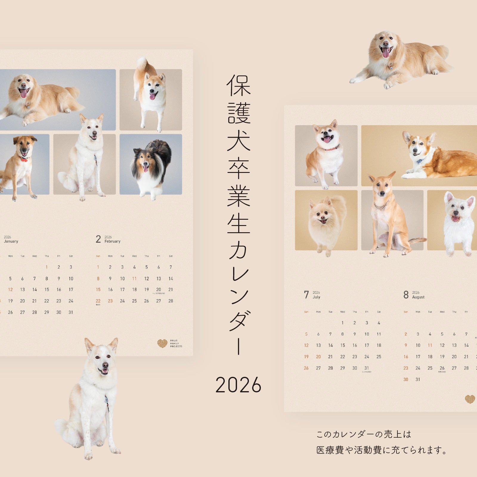 PAWS FAMILYカレンダー2026（見開きA3サイズ） – PAWS FAMILY PROJECTS
