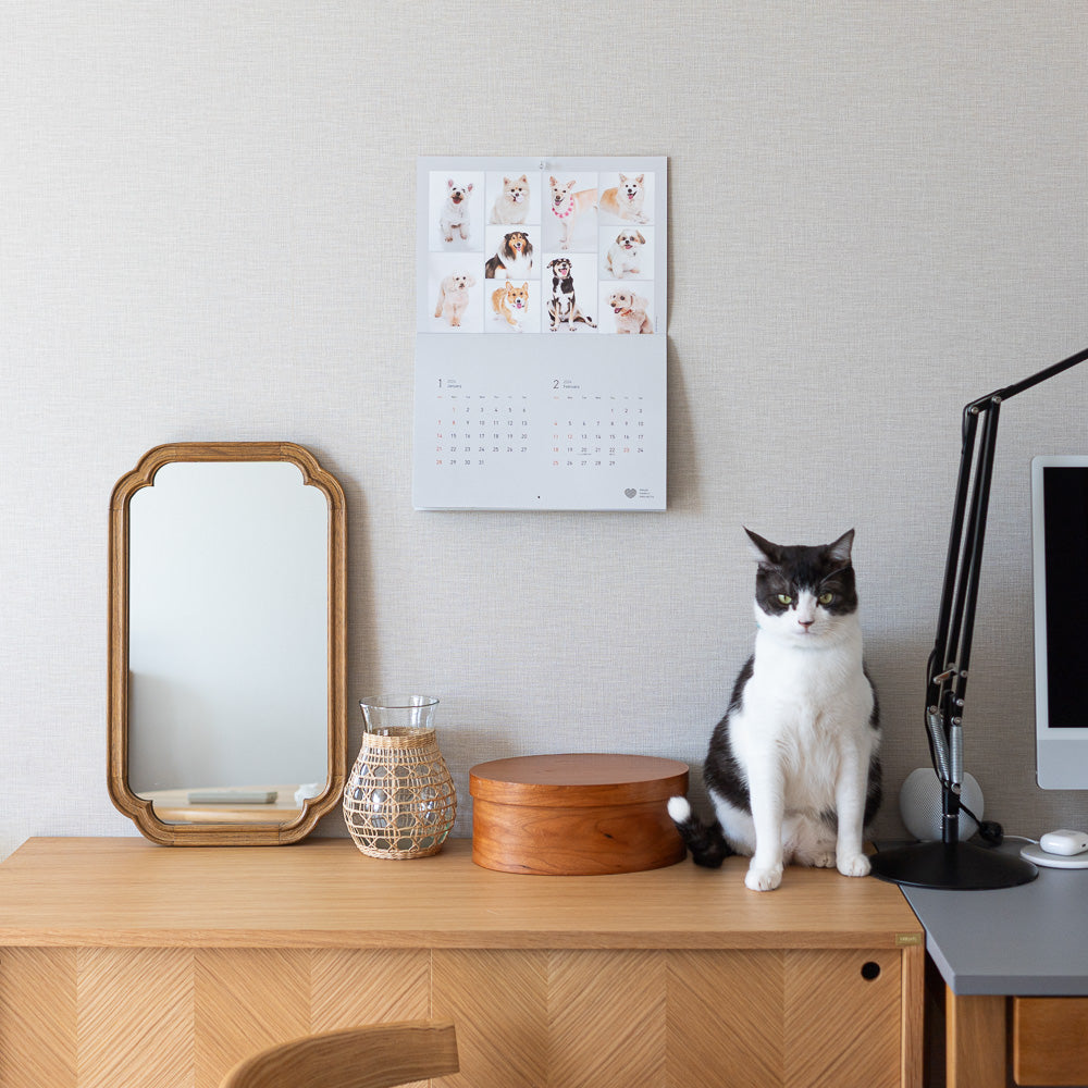 部屋に飾りやすいシンプルなデザイン